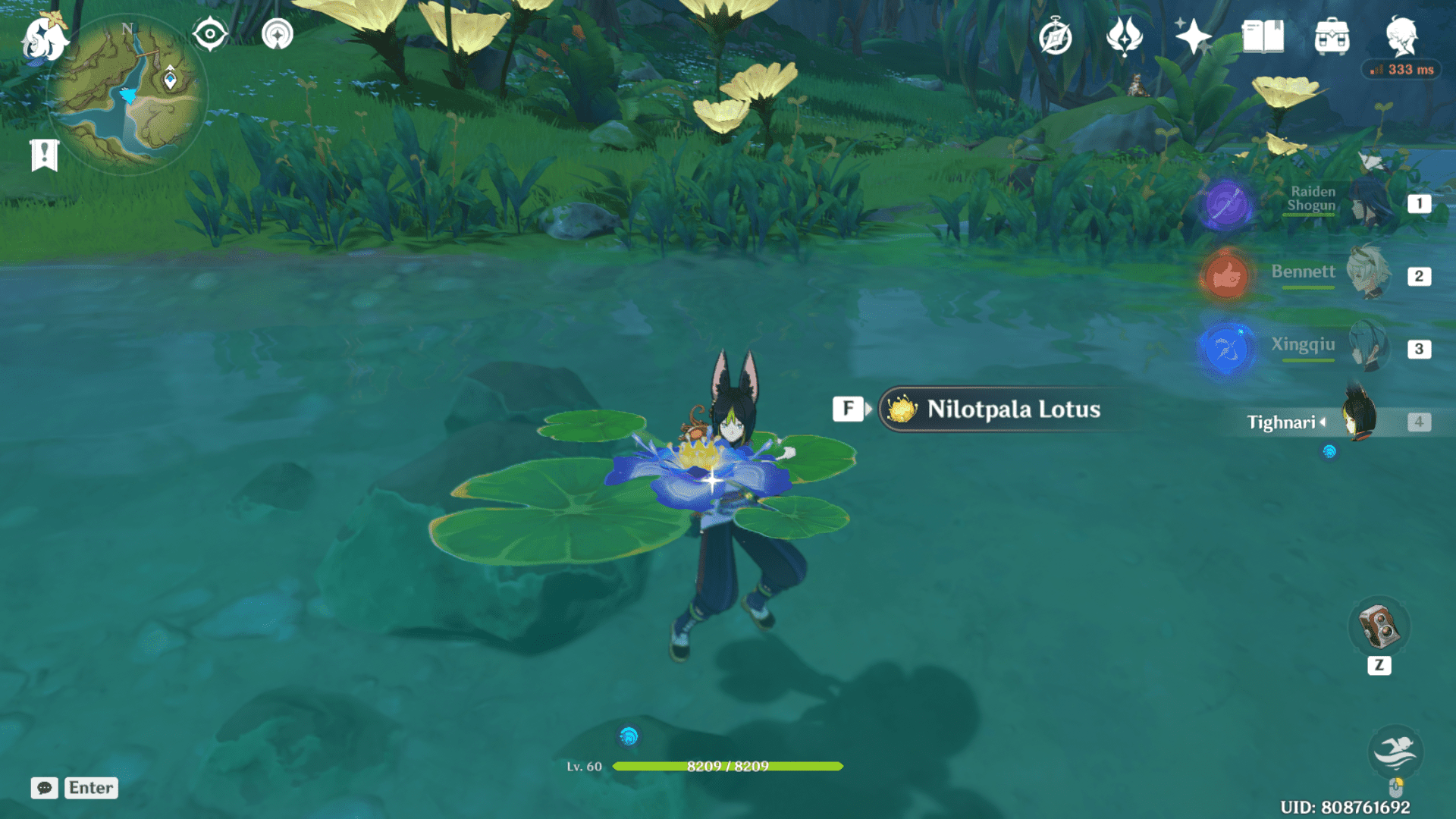 Collecting Nilotpala Lotus